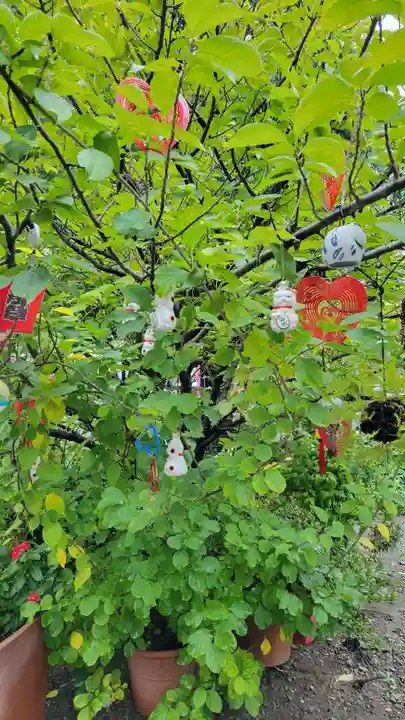 今戸神社(東京都)