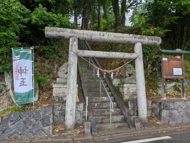 阿久津「田村神社」(郡山市阿久津町)旧社名:伊豆箱根三嶋三社(福島県)