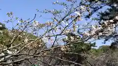 志都岐山神社(山口県)