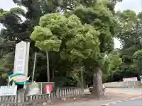 砥鹿神社(里宮)(愛知県)