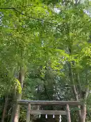 水神社(東京都)