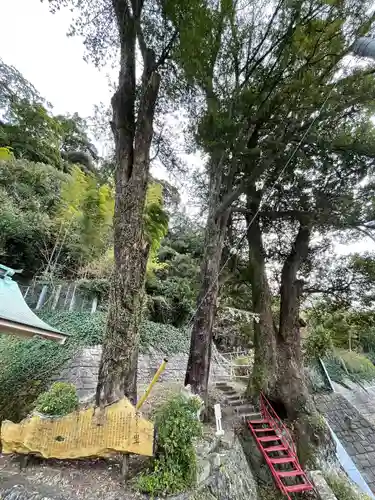 土肥神社(静岡県)