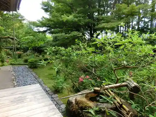 宝泉院の庭園