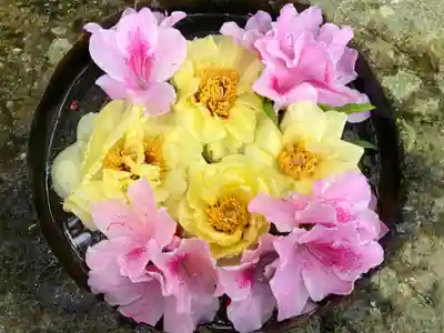 真言宗　善通寺派　薬王寺(香川県)