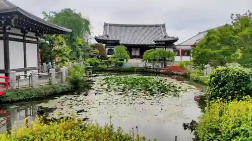 圓照寺(埼玉県)