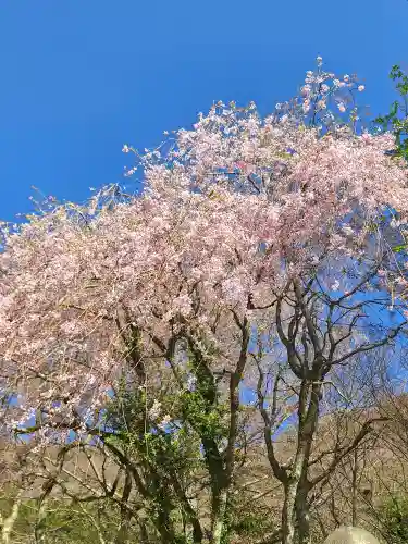 九頭龍神社本宮の{uncategorized: "未分類", other: "その他", undefined: "問題あり", building: "その他建物", grave: "お墓", sacred_gate: "鳥居", guardian: "狛犬", statue: "像", buddha: "仏像", history: "歴史", nature: "自然", garden: "庭園", animal: "動物", pagoda: "塔", temizu: "手水舎", mountain_gate: "山門・神門", sanctuary: "本殿・本堂", subordinate: "末社・摂社", art: "芸術", scenery: "景色", jizo: "地蔵", ema: "絵馬", goshuin: "御朱印", omikuji: "おみくじ", items: "授与品その他", amulet: "お守り", goshuincho: "御朱印帳", eats: "食事", festival: "お祭り", votive_dance: "神楽", shichigosan: "七五三参", wedding: "結婚式", experience: "体験その他", initially: "初詣", around: "周辺", anti_infection: "感染症対策"}
