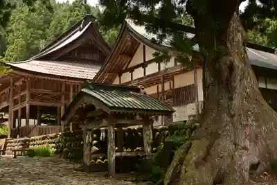 白山神社(長滝神社・白山長瀧神社・長滝白山神社)(岐阜県)