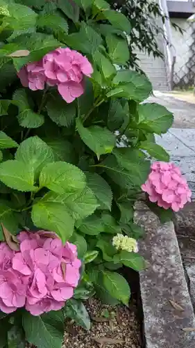 海印寺寂照院(京都府)