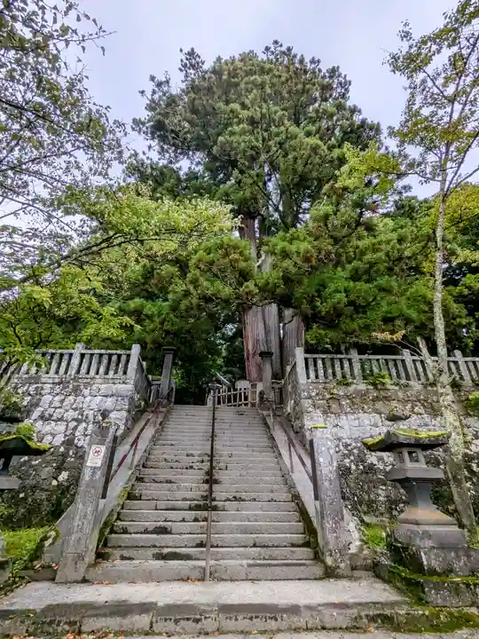 戸隠神社中社(長野県)