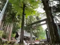 奥氷川神社(東京都)