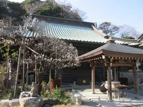 青蓮寺の本殿・本堂