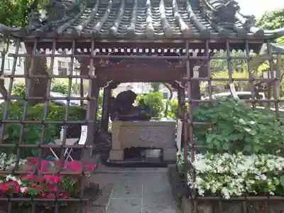 白山神社の手水舎
