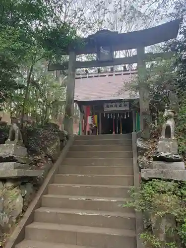 釜山神社の鳥居