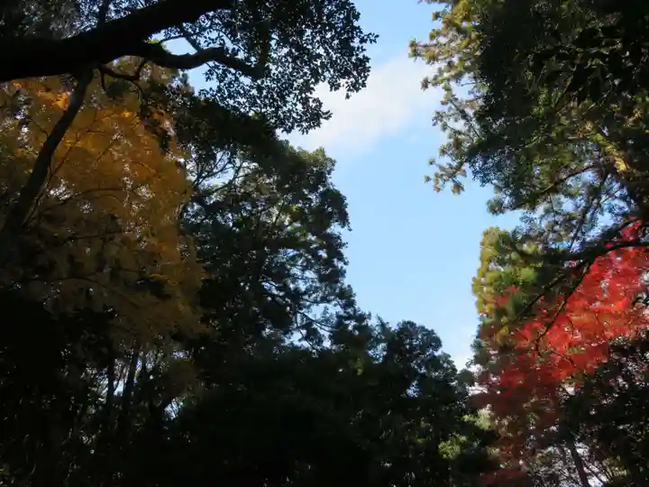 倭姫宮(皇大神宮別宮)の自然