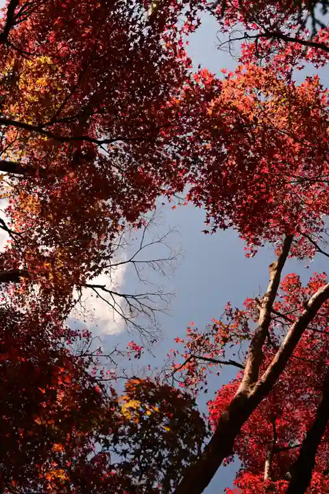 光悦寺(京都府)