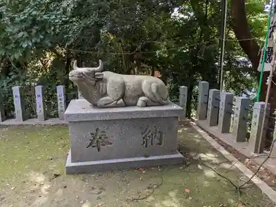 白山神社(二子町)の狛犬