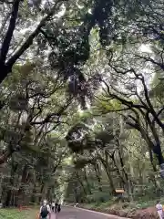 明治神宮(東京都)