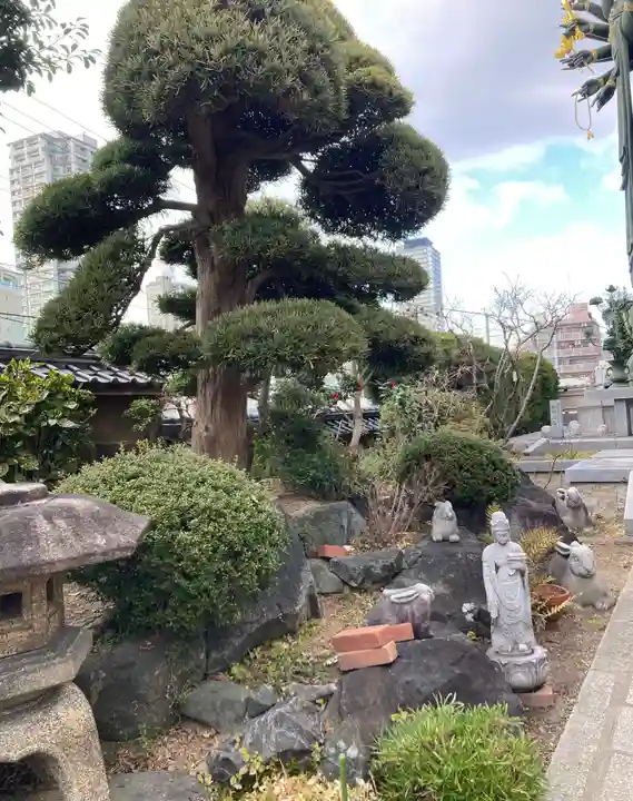 興徳寺(大阪府)