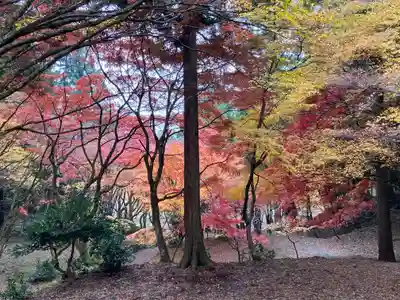 鶏足寺(滋賀県)
