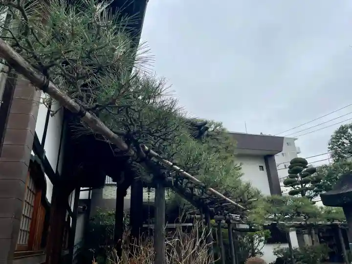妙情寺の{uncategorized: "未分類", other: "その他", undefined: "問題あり", building: "その他建物", grave: "お墓", sacred_gate: "鳥居", guardian: "狛犬", statue: "像", buddha: "仏像", history: "歴史", nature: "自然", garden: "庭園", animal: "動物", pagoda: "塔", temizu: "手水舎", mountain_gate: "山門・神門", sanctuary: "本殿・本堂", subordinate: "末社・摂社", art: "芸術", scenery: "景色", jizo: "地蔵", ema: "絵馬", goshuin: "御朱印", omikuji: "おみくじ", items: "授与品その他", amulet: "お守り", goshuincho: "御朱印帳", eats: "食事", festival: "お祭り", votive_dance: "神楽", shichigosan: "七五三参", wedding: "結婚式", experience: "体験その他", initially: "初詣", around: "周辺", anti_infection: "感染症対策"}