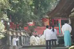 春日大社のお祭り