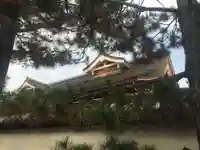 妙心寺(妙心禅寺)の本殿・本堂