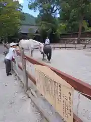 丹生川上神社（下社）(奈良県)