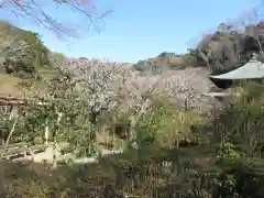 瑞泉寺の自然