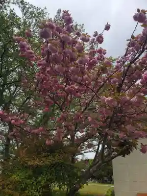 住吉神社の自然