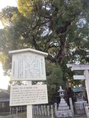 村上社(愛知県)