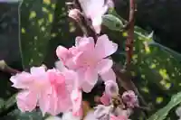 豊景神社の手水舎