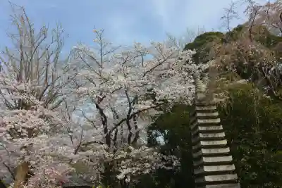 金蔵寺(千葉県)