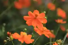 豊景神社の自然