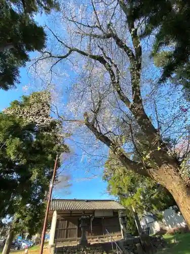 滋野神社のその他建物