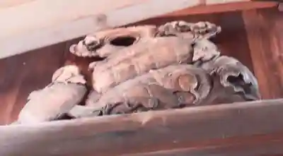 神明社・八幡社合殿（中杉町）(愛知県)