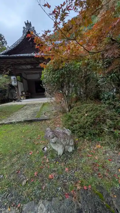 金蔵寺(京都府)