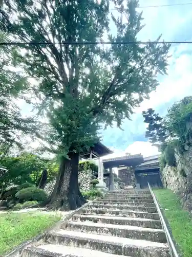 金蔵寺(三重県)