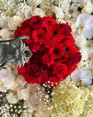 札幌諏訪神社の手水舎