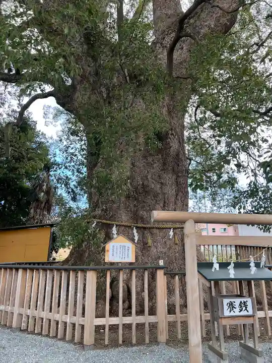 伊勢神明社(静岡県)