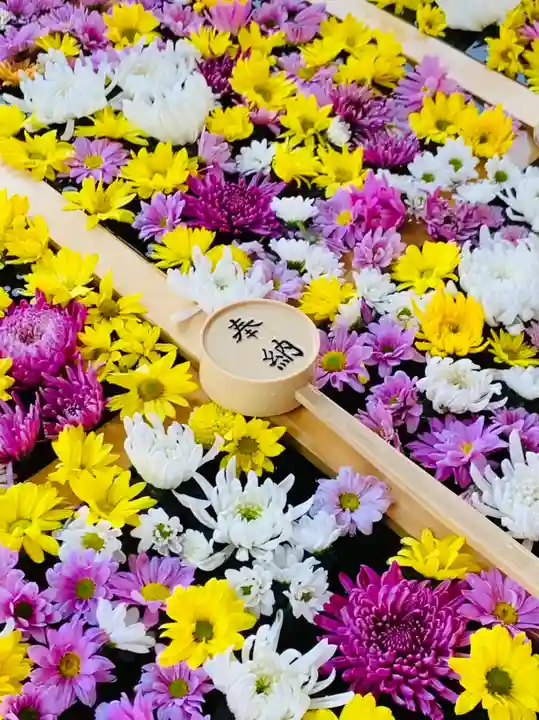 土津神社|こどもと出世の神さまの手水舎