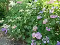 稲荷神社の自然