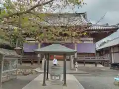 曼荼羅寺(香川県)