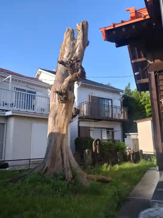 山王神社(神奈川県)