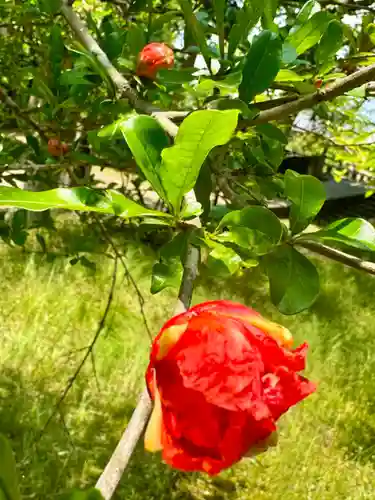 諸杉神社(兵庫県)