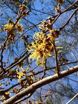 十二山神社(群馬県)