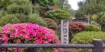 浅間神社(埼玉県)