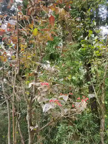 龍願寺の景色