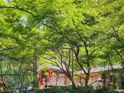 小新屋観音のその他建物