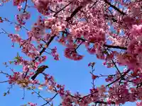 名古屋東照宮の周辺