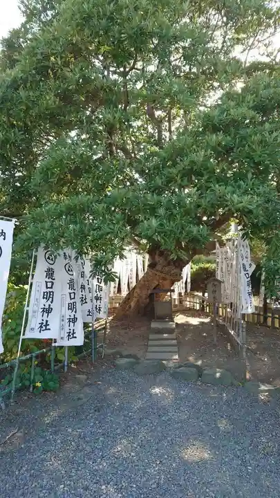 龍口明神社(神奈川県)